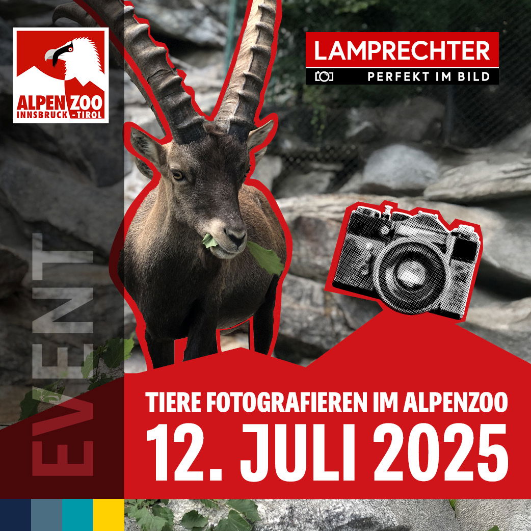 Workshop | Tiere Fotografieren im Alpenzoo